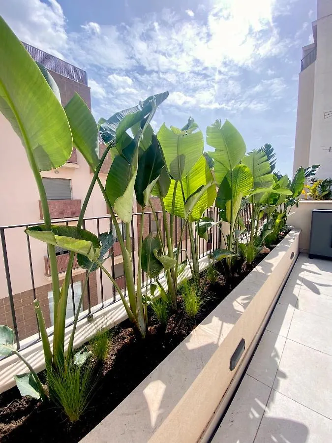 Hotel-Apartment With Big Terrace Palma de Mallorca Aparthotel